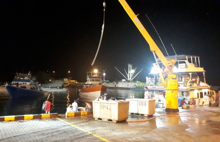 ދެކުނުގެ މަސްވެރިކަން އާދަޔާ ހިލާފަށް ރަނގަޅުވެއްޖެ