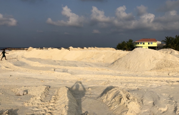 ކޮމަންޑޫގެ ބިން ހިއްކަން ފަށައިފި