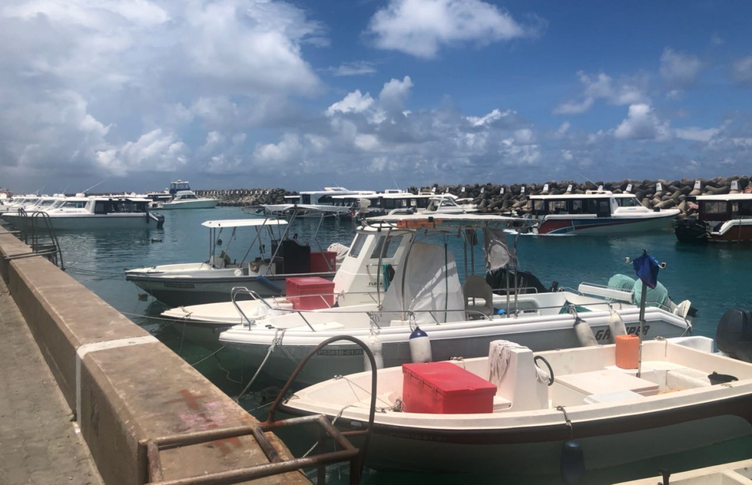 ބޮޑުތަކުރުފާނުމަގު ޓޯޔާޑް ކުރިމަތިން އޮންނަ ފަޅު ތެރޭގައި އުޅަނދުފަހަރު އަޅާފައި. އެ ސަރަހައްދު ހުސްކުރަން ހައުސިން މިނިސްޓްރީން ވަނީ އަންގާފައި. ފޮޓޯ: އަބްދުﷲ ޖަމީލު/ މިހާރު