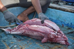 A local fisherman debones a fish at the local fish market in the capital Male. MIHAARU PHOTO/NISHAN ALI
