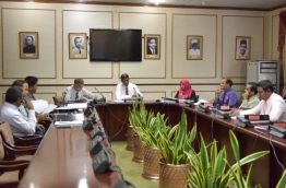 During a meeting of the parliament's Committee on Oversight of the Government. FILE PHOTO/MIHAARU
