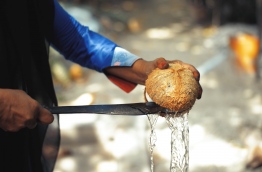 A woman cracks open a coconut. PHOTO/AISHATH NAJ