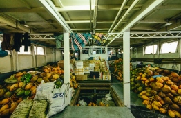 Assortment of coconuts and other goods aboard the New Line cargo vessel. PHOTO/AISHATH NAJ