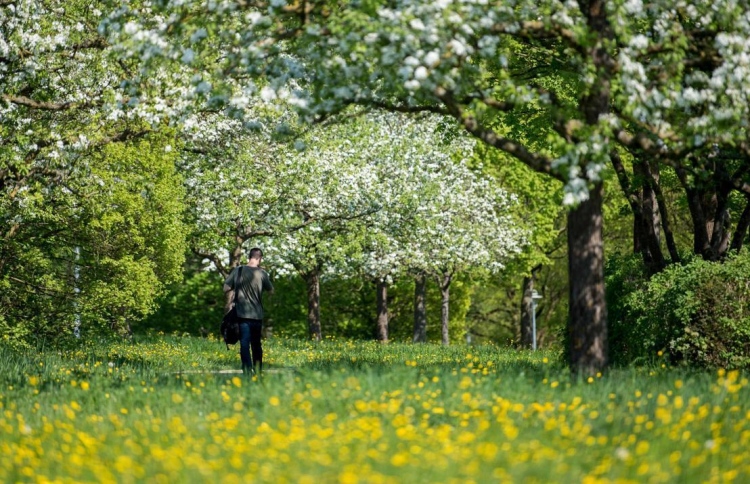 ދުނިޔޭގެ ގަސްތަކުގައި 9،200 ވައްތަރު އަދި ނުފެނޭ