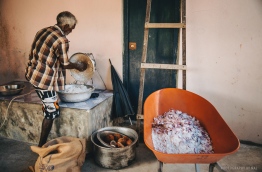 Scraping coconuts for spice making, G.A. Kondey. PHOTO/AISHATH NAJ