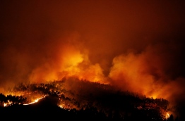 More than 20 people have been killed in forest fires in Portugal. Photograph: Rafael Marchante/Reuters