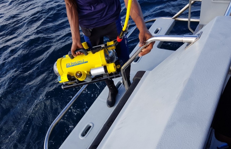 ގެއްލުނު ދެ ކުދިން ހޯދަން ޑައިވިން ރޮބަޓް ބޭނުންކޮށްފި