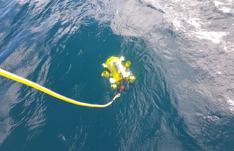 އުއްމީދު ކަނޑާނުލައި ދެ ކުދިން ހޯދުން ކުރިއަށް