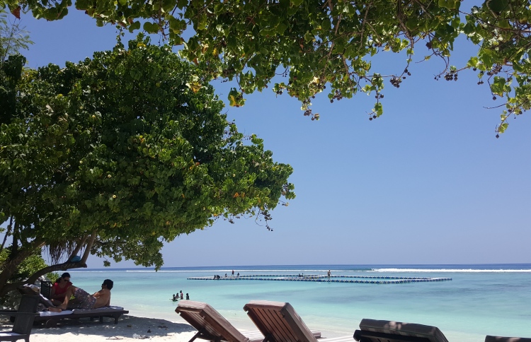 މިއީ އޮއިބާރު ދުވަސްވަރެއް، މޫދަށް އެރޭއިރު ސަމާލުވޭ