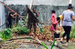 People pictured destroying mosquito breeding grounds to control an outbreak of dengue.