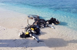 Dead sharks caught in a fishing net in A.A. Ukulhas. PHOTO/ANONYMOUS