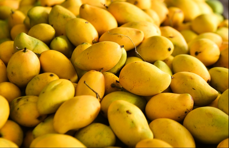 އަނބުގެ ފައިދާތައް ގިނަ