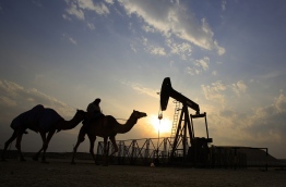 A desert oil field in the Sakhir area of Bahrain. The country ranks 57th in the list of oil producers | Hasan Jamali/AP