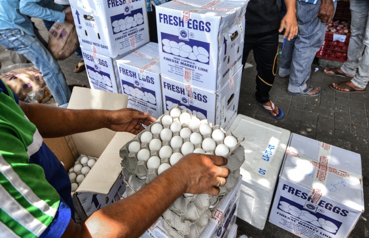 އާންމުކޮށް ބިސް ގެންނަން ވިސްނަން: އެސްޓީއޯ