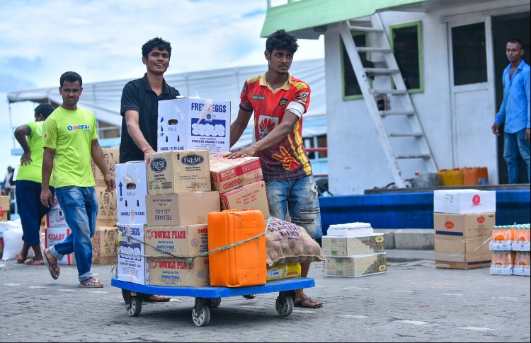 އިމްޕޯޓް ލައިސަންސް އުވާލުން: ވަރަށް ބޮޑު ފަސޭހައެއް