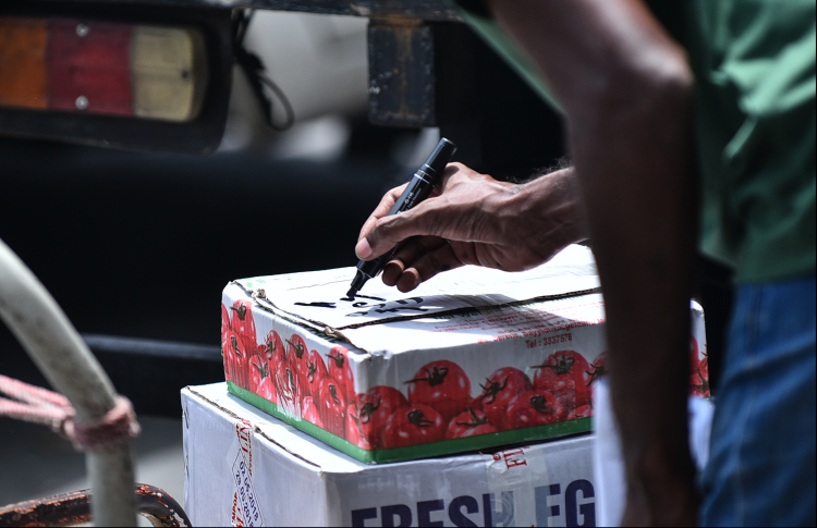 ފިޗް އިން ރާއްޖެއަށް ދިނީ "ސީސީ" ރޭޓިން އެއް