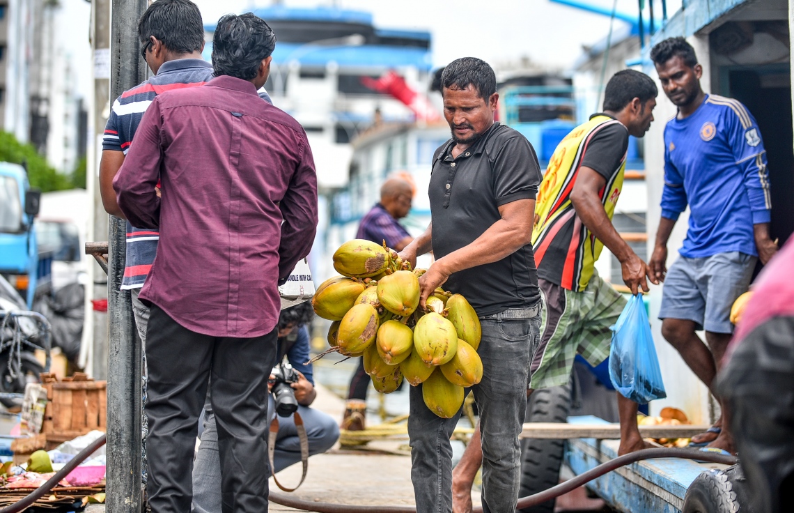 މާލެ: މޭ 14، 2018: ނޯތު ހާބަރުގައި އޮތް ބޯޓަކަށް ކުރުނބާ އިހަލެއް ލަނީ.-- ފޮޓޯ: ނިޝާން އަލީ/މިހާރު