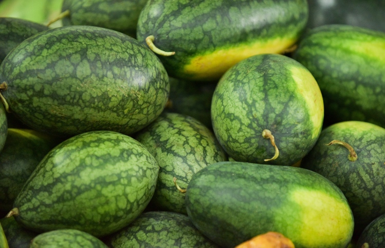 ކަރާ ކިލޯއެއްގެ އަގު 25ރ. އަށް ވެއްޓިއްޖެ