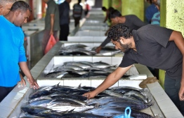 Male Fish Market, May 16, 2018: Scenes from the fish market in Male on the first day of the Islamic holy month of Ramadan. PHOTO: NISHAN ALI/MIHAARU