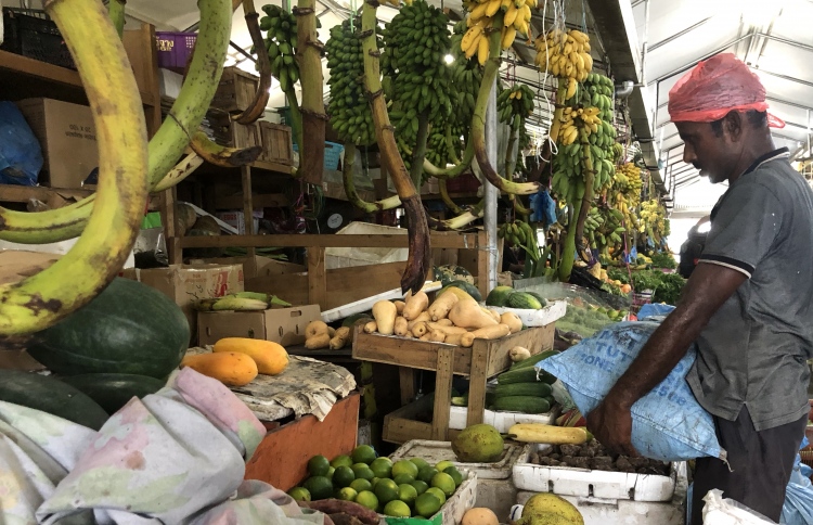 އަގު އުފުލެނީ ރަށްރަށުން ތަކެތި ނުގެންނާތީ