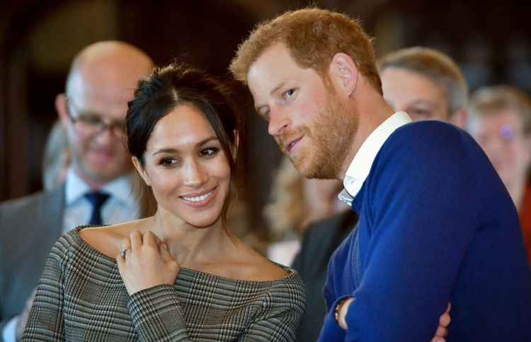 ހެރީގެ ދެކަނބަލުންގެ އިންސްޓަ އެކައުންޓަށް ރެކޯޑެއް