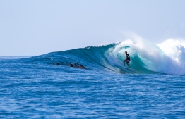Passing dolphins join in at Blue Bowls for a little friendly surf competition. PHOTO: MICKEY NATTS