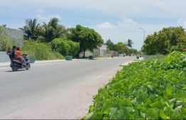 A road in Addu City --