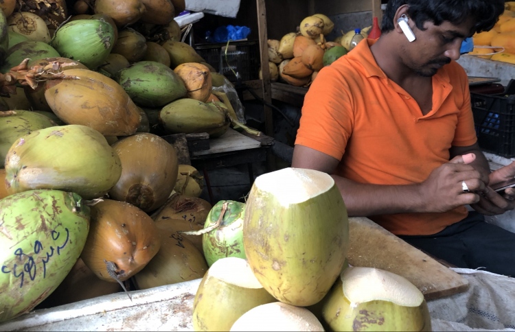 ކުރުނބާ އެބަހުރި، އެކަމަކު އަގު ވަރަށް ބޮޑު