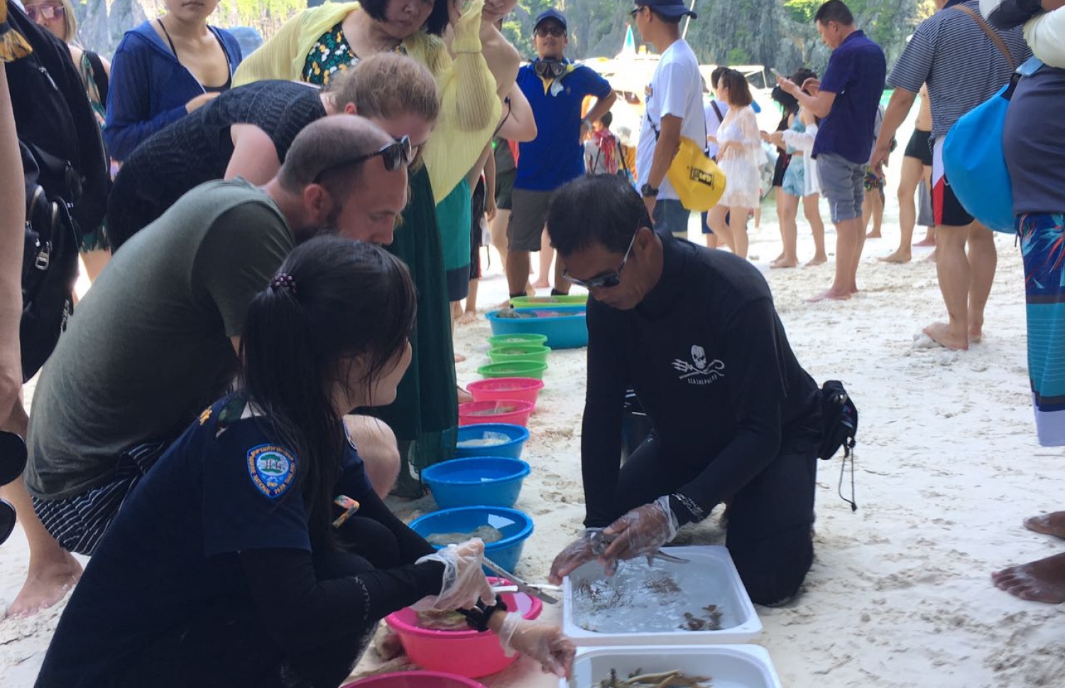 މާޔާބޭގެ މޫދުގައި މުރަކަ އާލާ ކުރުމަށް ތައްޔާރުވަނީ. އެތަން ޓޫރިސްޓުންނަށް ނުދެވޭ ގޮތަށް އަންނަ މަހު ބަންދު ކުރާނެ.-- ފޮޓޯ: މުހައްމަދު ޔާމީން /މިހާރު