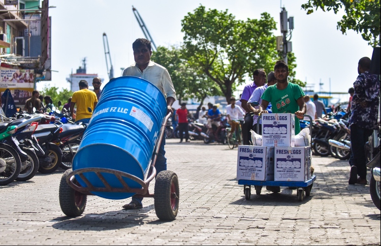 ޑީސަލުން ޑިއުޓީ ކަނޑާލަން މަޖިލީހުން ފާސްކޮށްފި