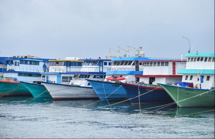 ފަޅު ބަންދުކުރުމުން ފެރީތަކަށް އިތުރު ދެ ސަރަހައްދެއް