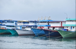 Fishing boats docked at Male City's northern harbour. PHOTO/MIHAARU
