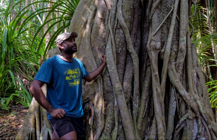 ރާއްޖޭގެ ޗާލު ރަށްރަށުން ދިވެއްސެއްގެ ދަތުރުނާމާ