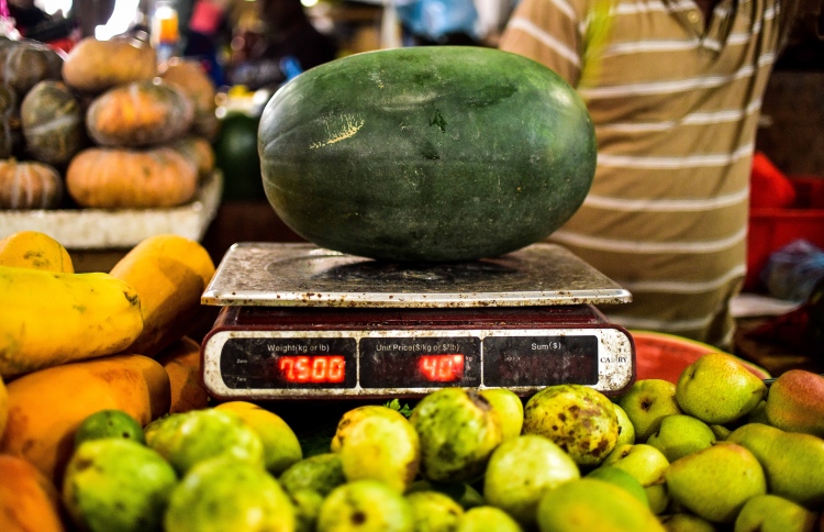 ދަތިކަމެއް ނެތި ކަރާ ލިބޭނެ: ދަނޑުވެރިން