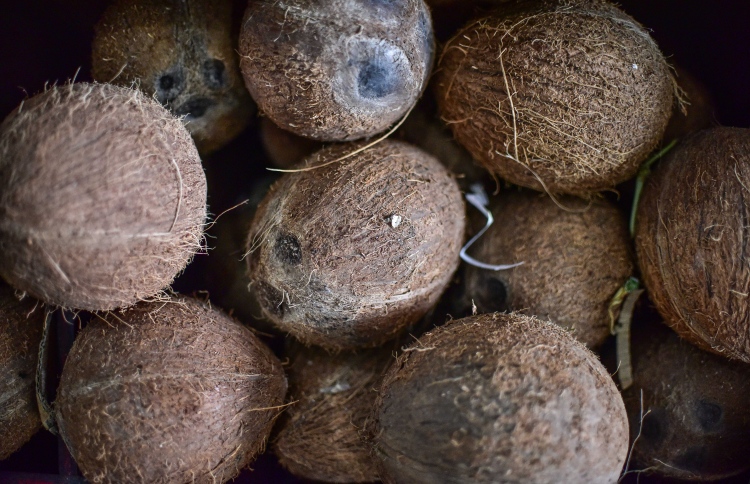 ކާށީގެ އަގު ވަރަށް ބޮޑަށް ހެޔޮވެއްޖެ