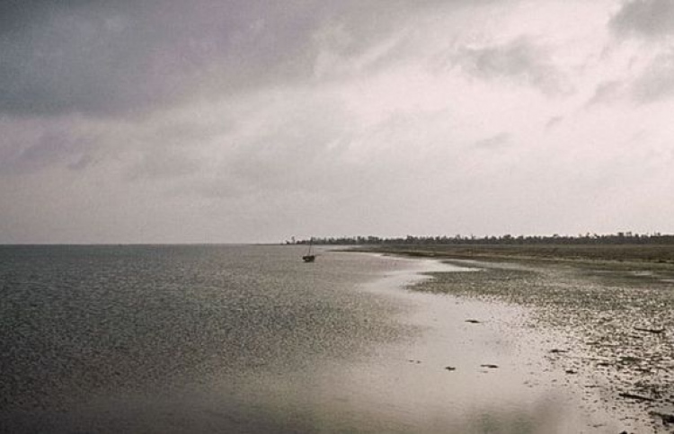 ޓިއުނީޝިއާގެ ބޯޓެއް ފެތި 50 މީހުން މަރުވެއްޖެ