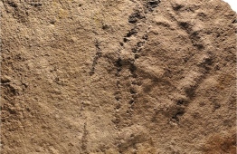 އުތުރު ޗައިނާގެ ޔެންޒީ ގޯޖެސް ސަރަހައްދުން ފެނިފައިވާ ފިޔަވަޅުގެ ނިޝާންތައް - ފޮޓޯ: އޭއެފްޕީ