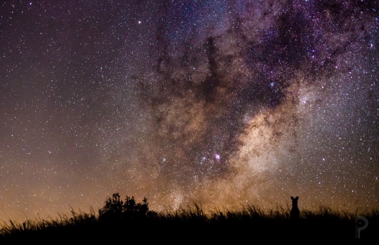 އައްރަހްމާން ސޫރަތުގައިވާ ތަކުރާރުތަކުގެ ހިކުމަތް