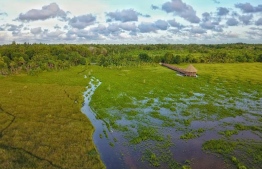Aerial view of the nature park in Fuvahmulah. PHOTO/SIPPE