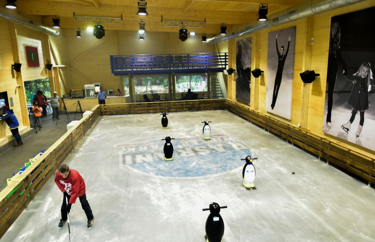 ވިންޓަ ތީމް ޕާކް އާންމުކޮށް ހުޅުވާލައިފި