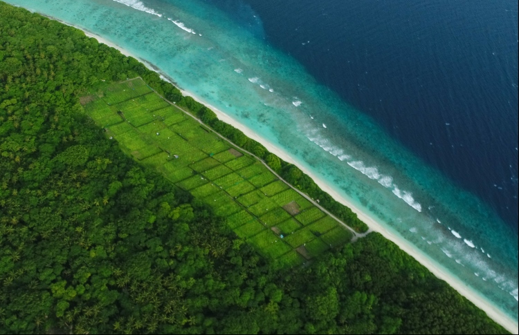 ފައިނު އެއާޕޯޓުގެ މަސައްކަތް އަންނަ މަހު ފަށާނެ