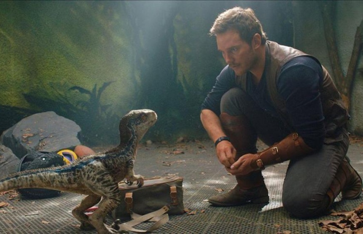 "ފޯލެން ކިންގްޑަމް" އަށް ބިލިއަން ޑޮލަރުގެ އާމްދަނީއެއް