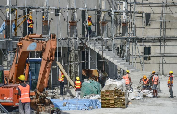 ހަށިގަނޑު ފޫއަޅުވާލި ދަގަނޑު ނަގައިފި