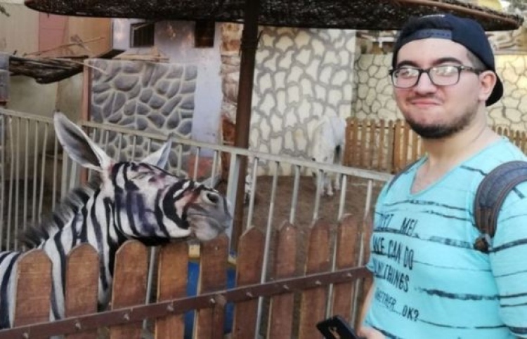 ޒިބްރާތަކެއް ކަމަށް ދައްކަން ހިމާރުތަކެއްގައި ކުލަ ލައިފި