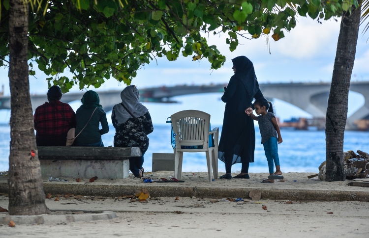 ޕެޑުން ޓެކްސް ނެގުން އުވާލަން މަޖިލީހަށް ހުށަހަޅައިފި