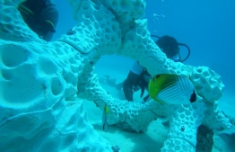 3D Printed Reefs in Summer Island Resort