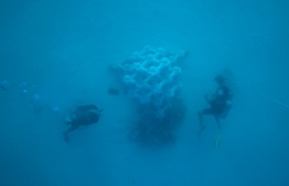 Structures built underwater using 3D printing technology for growing corals and building artificial reefs. PHOTO: SUMMER ISLAND RESORT