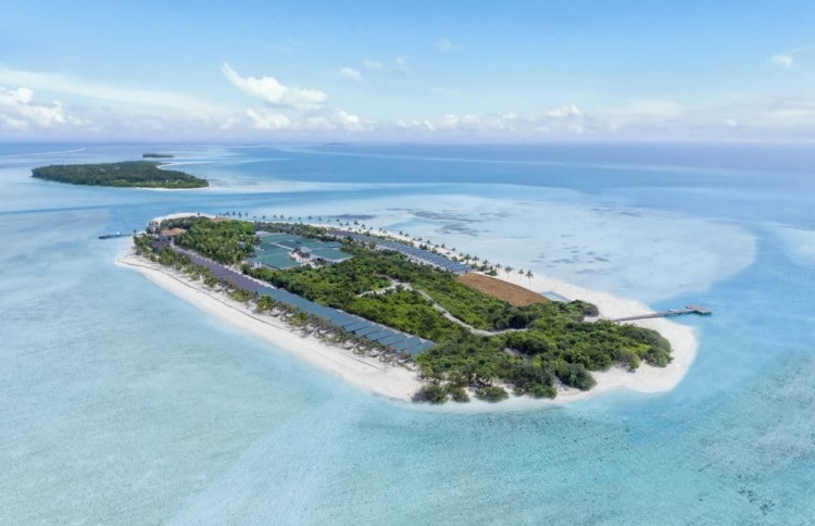 ކްރައުން އެންޑް ޗަމްޕާއިން އިންނަހުރާ ހުޅުވަނީ