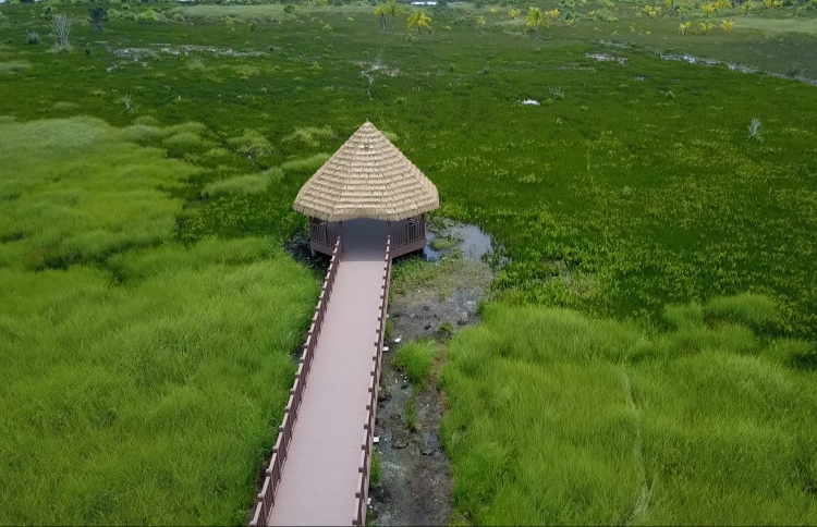 ފުވައްމުލަކުގައި 500 ކޮޓަރީގެ ސިޓީ ހޮޓަލެއް އަޅަނީ