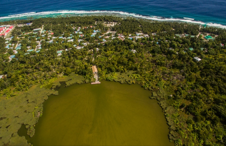 ގަވާއިދާ ހިލާފަށް ދަނޑުވެރިކަން ކުރާތީ އިންޒާރެއް